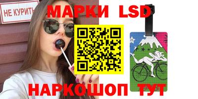 гашик Донецк