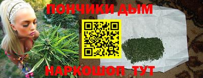 spice Дубна