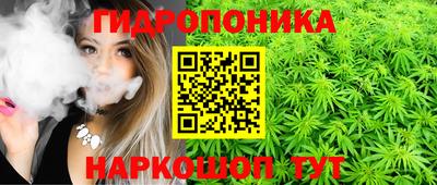 гашик Донецк