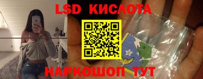 гашик Донецк