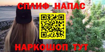spice Дубна