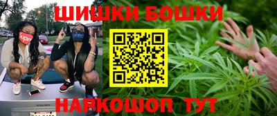 spice Дубна