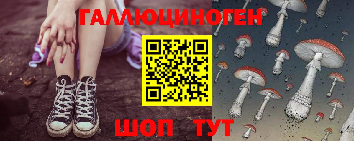 Галлюциногенные грибы GOLDEN TEACHER  Вход с VPN  Нальчик 