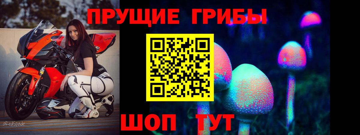 Псилоцибиновые грибы MAGIC MUSHROOMS Нальчик